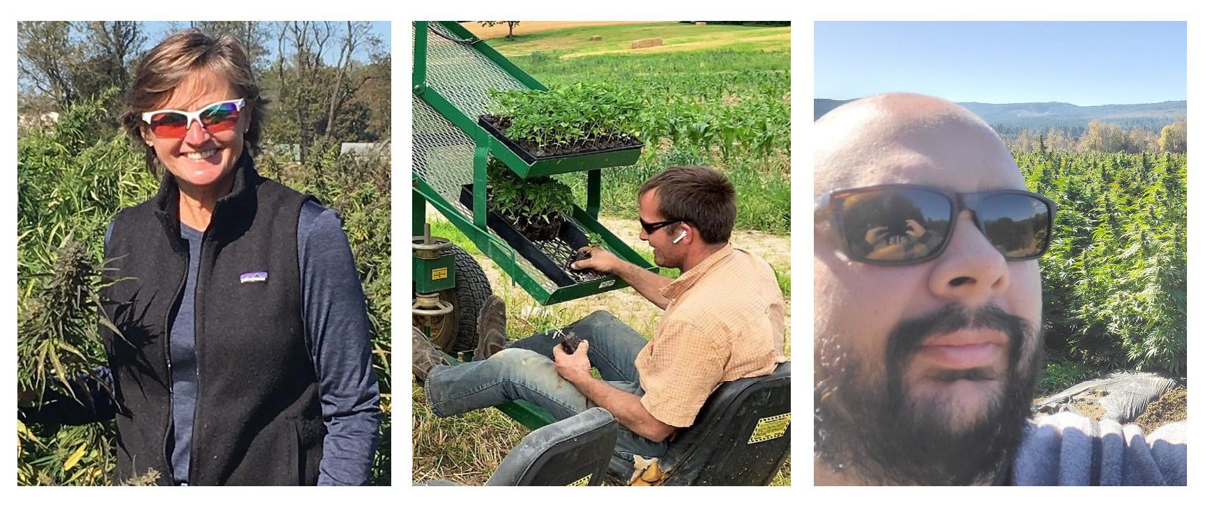Growing Partnerships: Hemp-Alternative & Hicks Brothers LLC, plus HempExchange